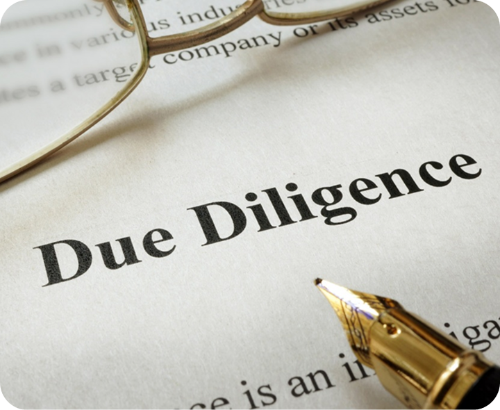 Due Diligence Services