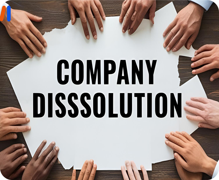 Company Dissolution